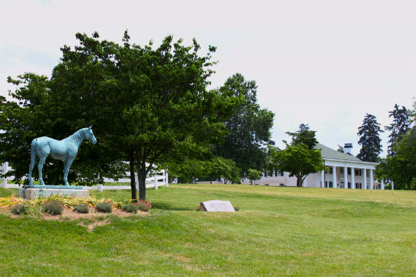 Darby Dan Farm Black Toney Statue